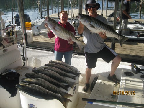 Nice Striped Bass